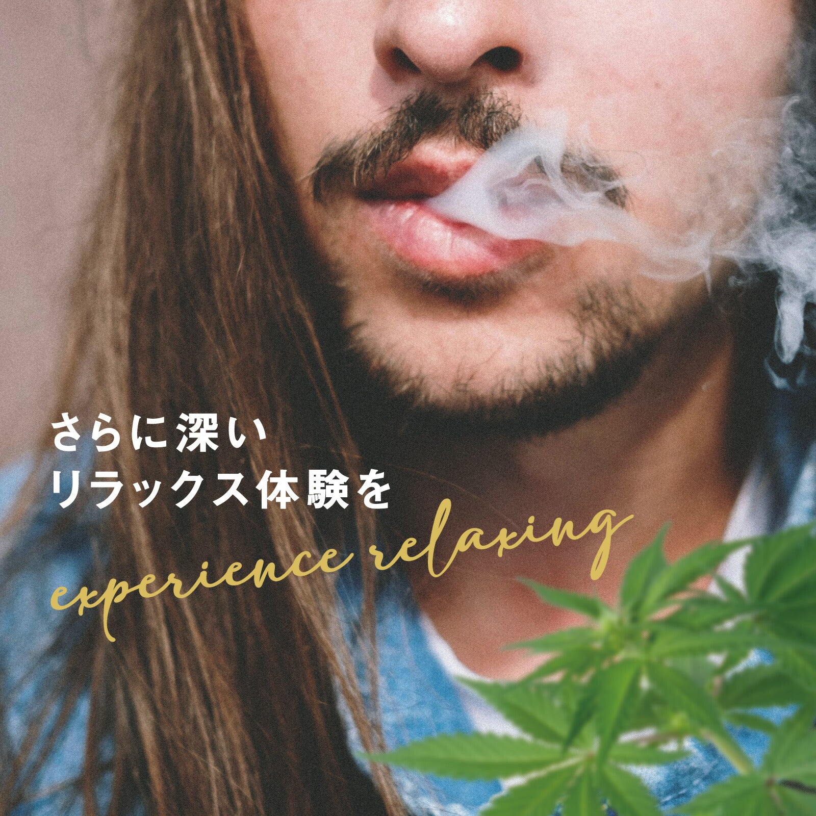 CannaTech 】CBN リキッド 45 % カートリッジ 1g ( CBN 450mg ) – CBD