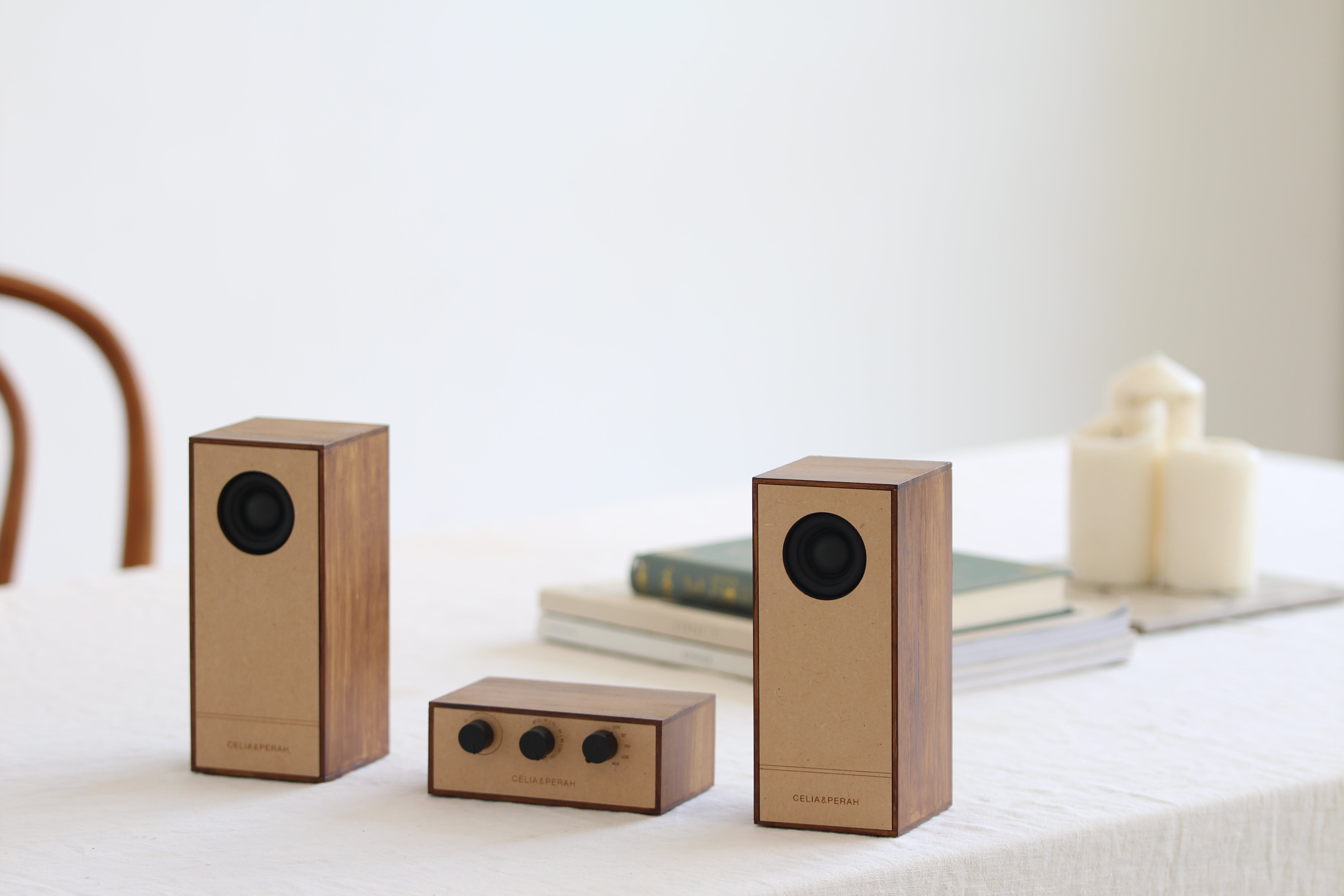 R4 DIY Bluetooth Radio ( Separate ) – CELIA & PERAH