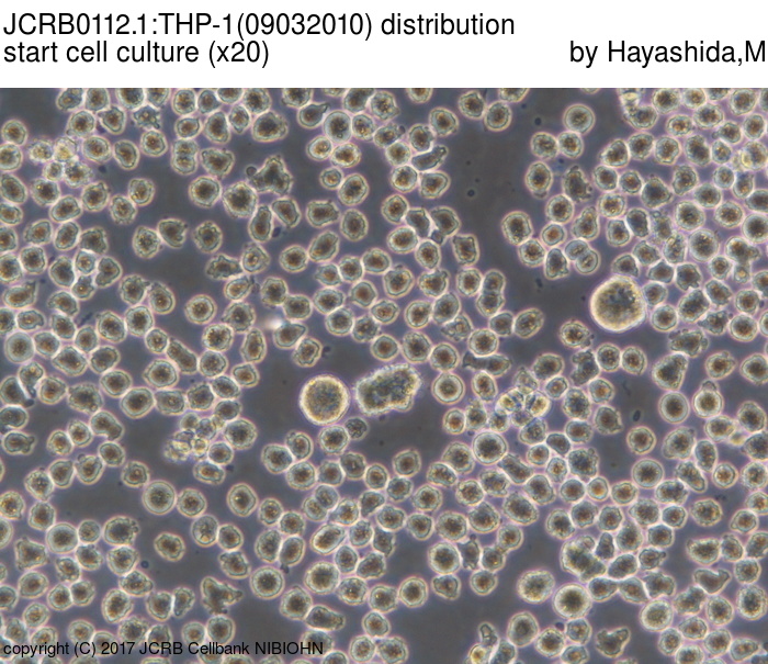 Detailed Information [JCRB0112.1]-