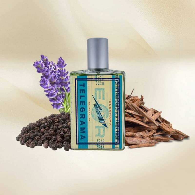 Imaginary Authors Telegrama Eau de Parfum - Lowest Price| Beautinow