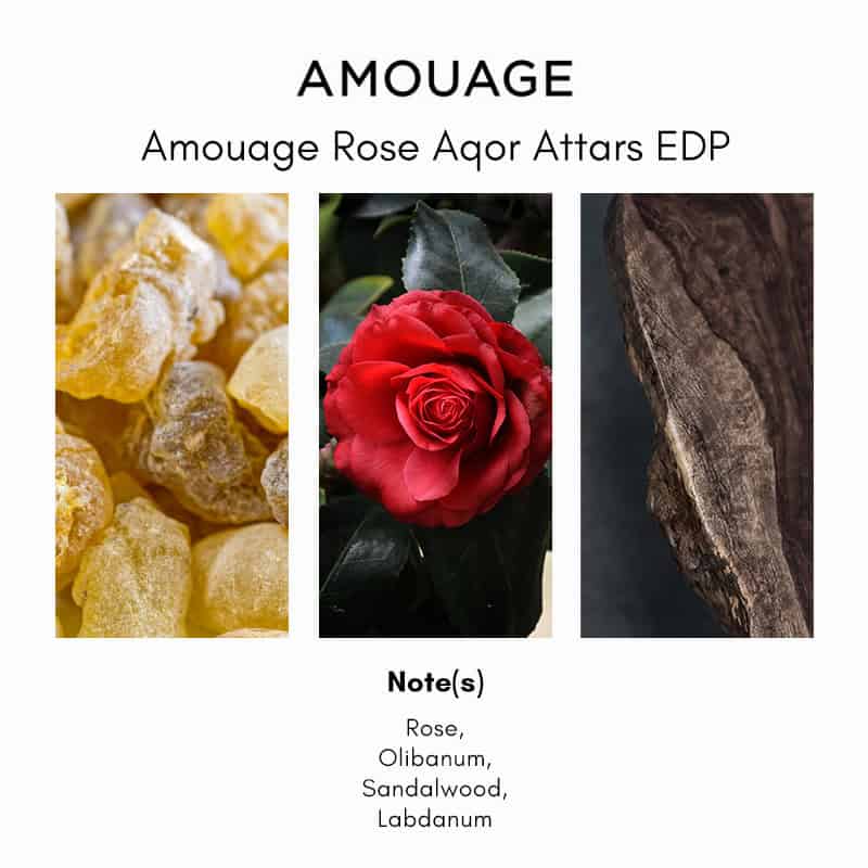 Amouage Rose Aqor Attars Perfume Oil - Lowest Price| Beautinow