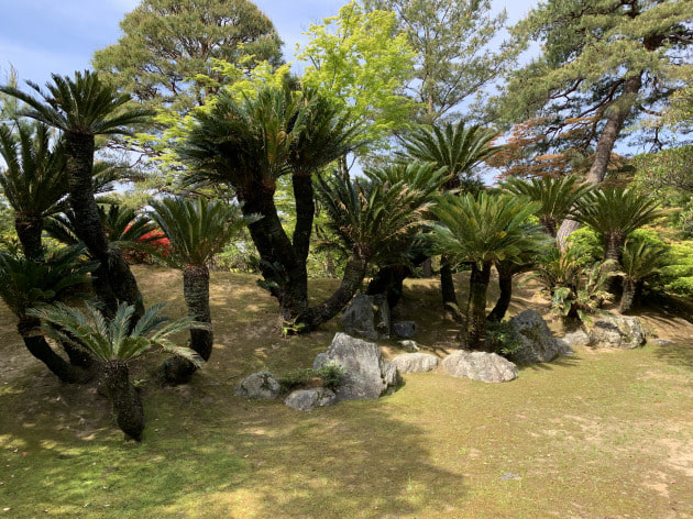 桂離宮｜Pilgrim Surf+Supply（ピルグリム サーフ+サプライ）｜BEAMS