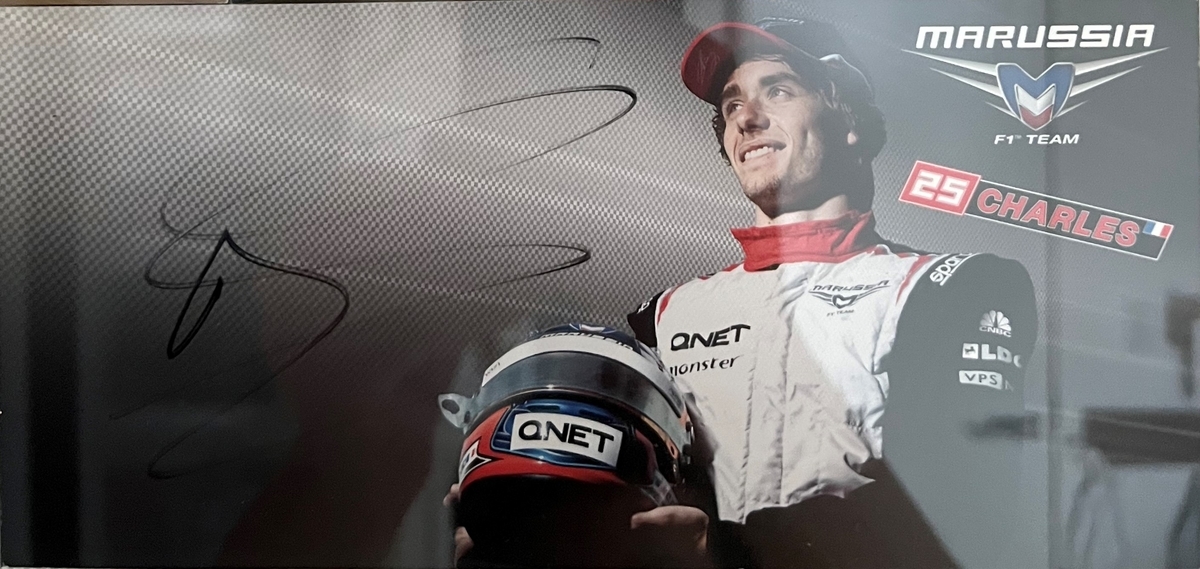 サイングッズ購入検討の参考に 直筆サイン ピック＆ディレスタ