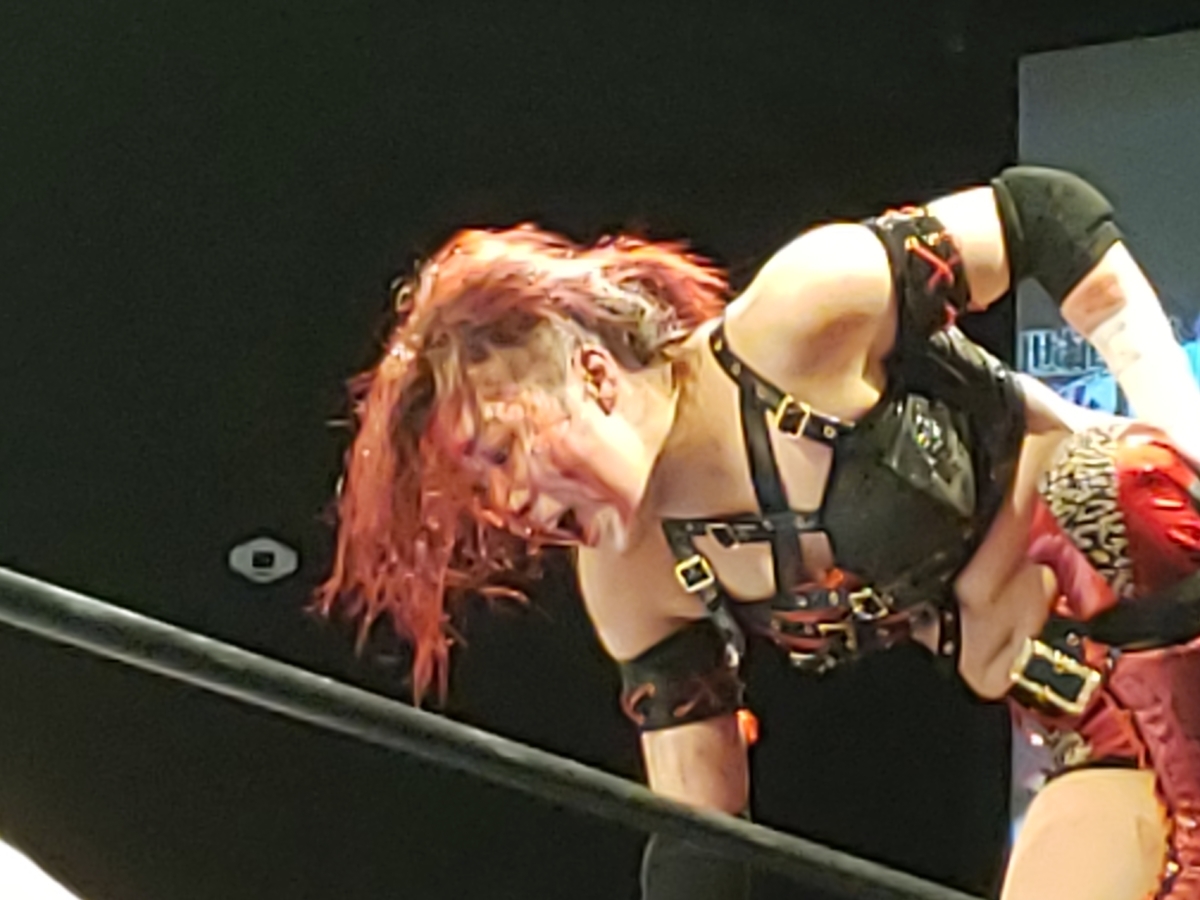 世羅りさプロデュース興行第6弾『激核闘清2～ハードコアミクスドタッグ