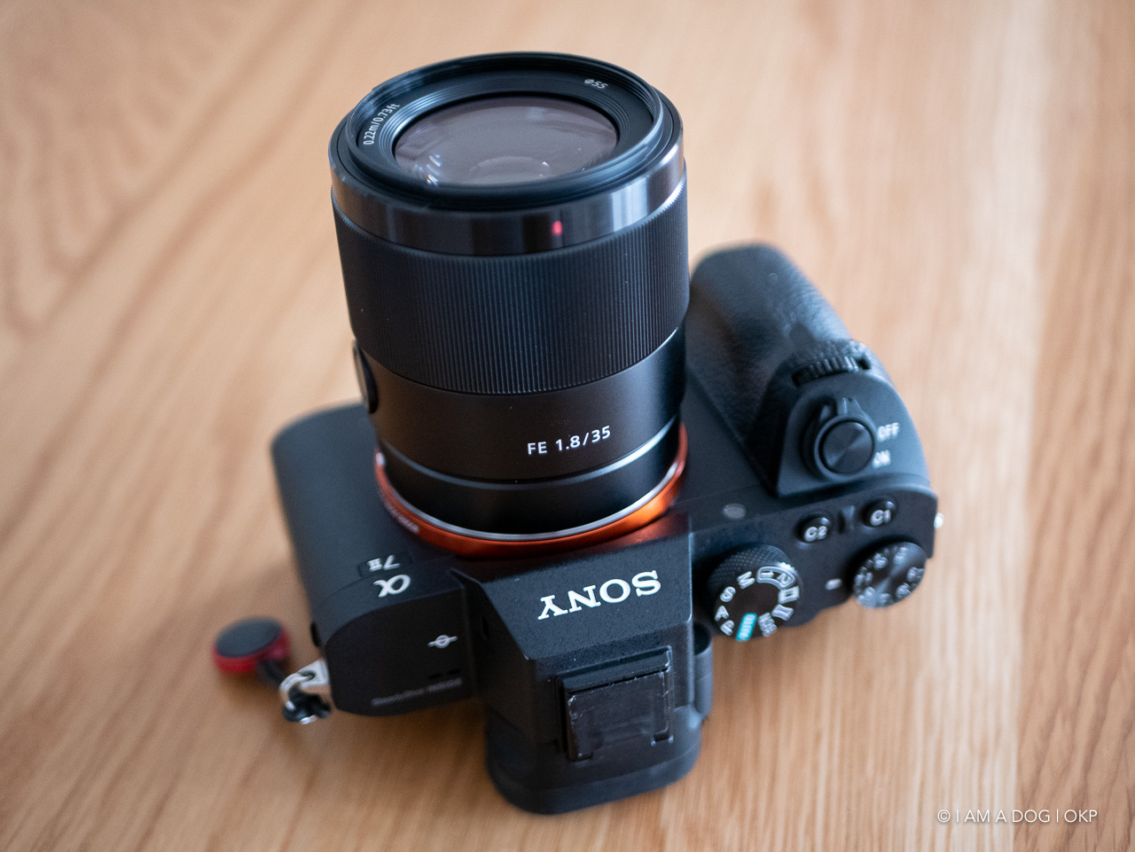 SONY SEL35F18F / FE 35mm F1.8はコンパクトで寄れてよく写る“丁度よさ