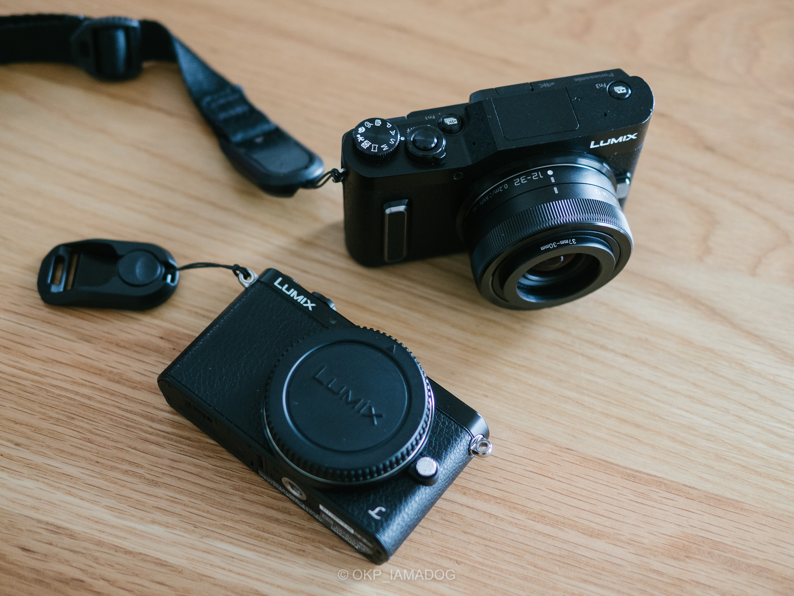 記録写真に最適なパンケーキズーム、パナソニック LUMIX G VARIO 12