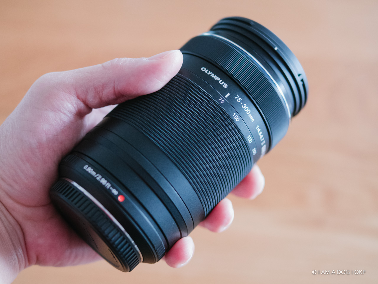 もっと評価されて良いのでは？ 3万円台の超望遠ズーム M.ZUIKO DIGITAL