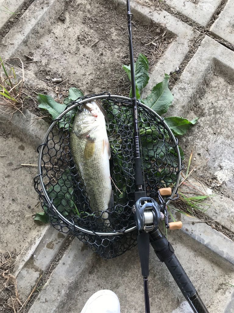 832MRB-AGS14 【KAWA SPECIAL ESS】 - ポテちゃんパパの釣りブログ