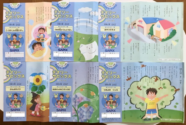 SAPIX国語・算数】サピックス1年生（1～6回）を元国語教師が振り返って