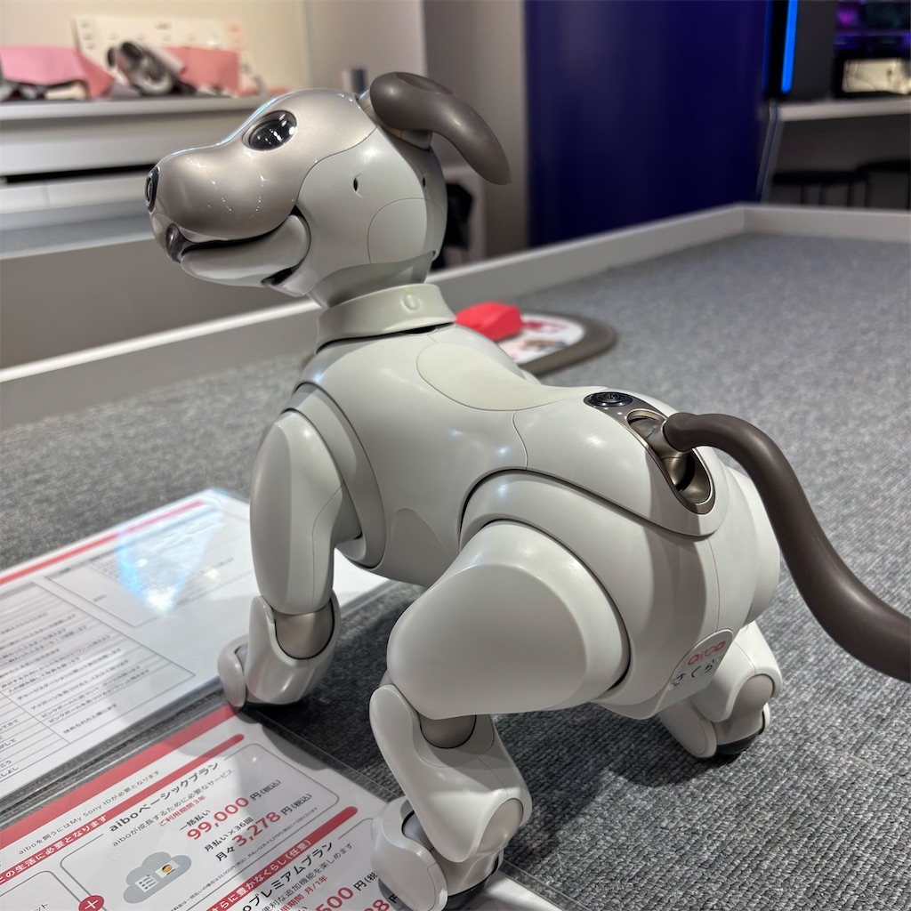 ロボット犬と遊ぶ - chappy vibes