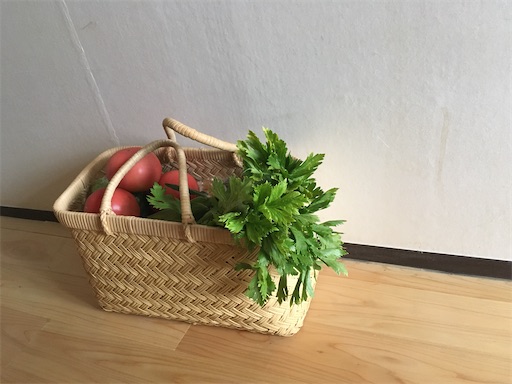 芸術品のエコバッグ】岩手鳥越竹細工の市場かご - ミニマリストの