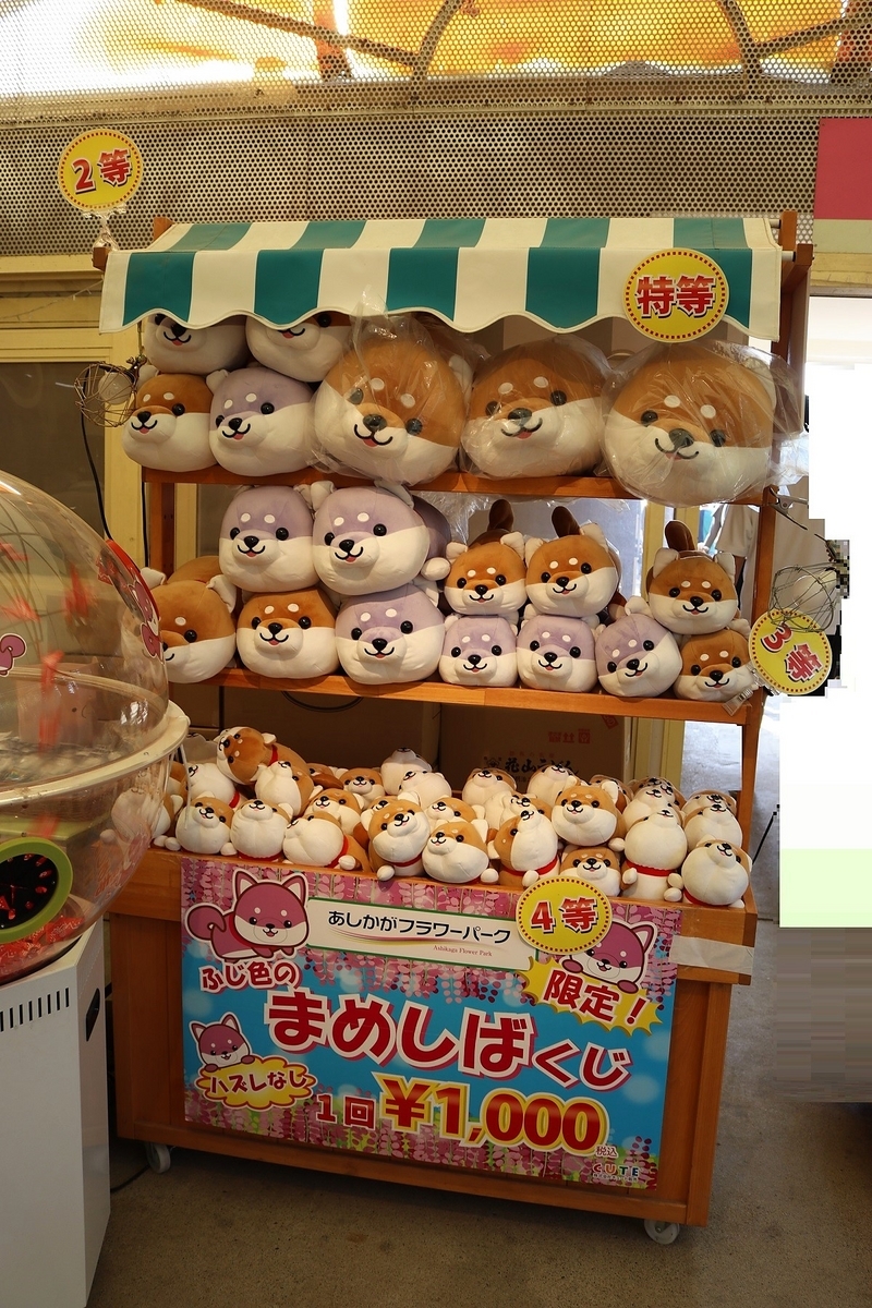 ㈱CUTE ハッピー豆柴くじ・ハッピー秋田犬くじ - ぬいぐるみくじ発見紀