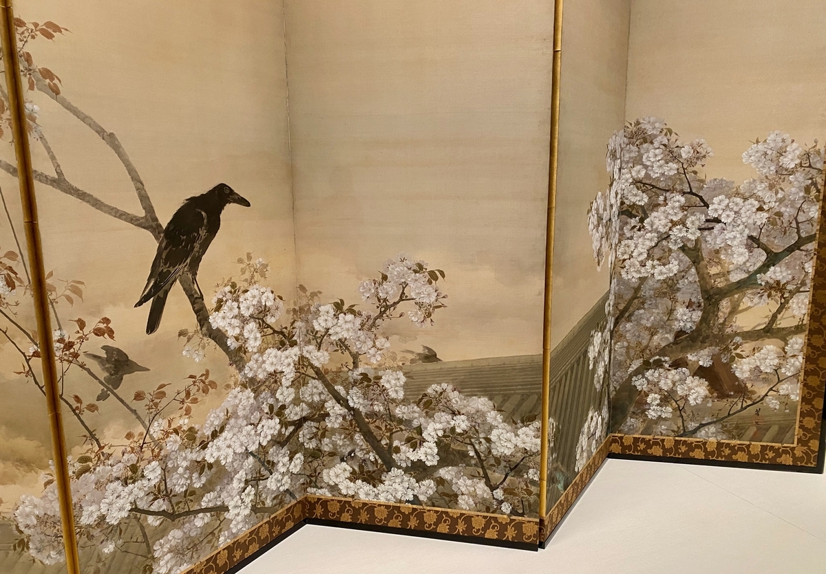 菊池芳文の「桜」 ｜京都市京セラ美術館 - 第二遊歩道ノート