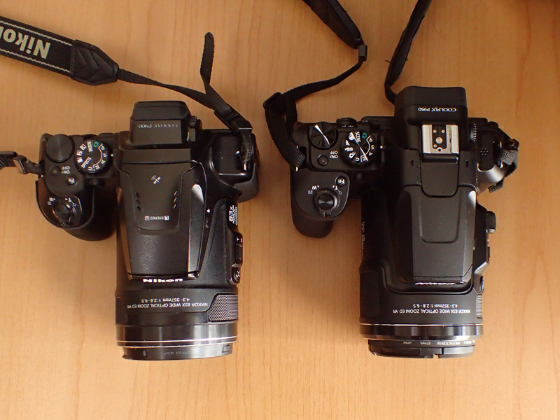 ニコンCOOLPIX P950 vs P900比較レビュー！野鳥撮影向き超望遠コンデジ