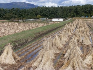 福沢諭吉祖先発祥の郷由来碑 - 川本卓史京都活動日記
