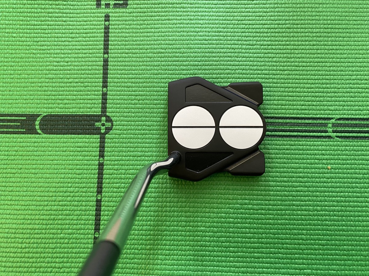 在庫切れになる前に 2-BALL TEN Tour Lined パターをポチってしまった