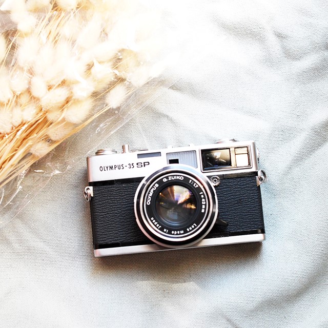 OLYMPUS 35SPの使い方♪ - 〔BLOG〕パピオカメラ│フィルムカメラのお店