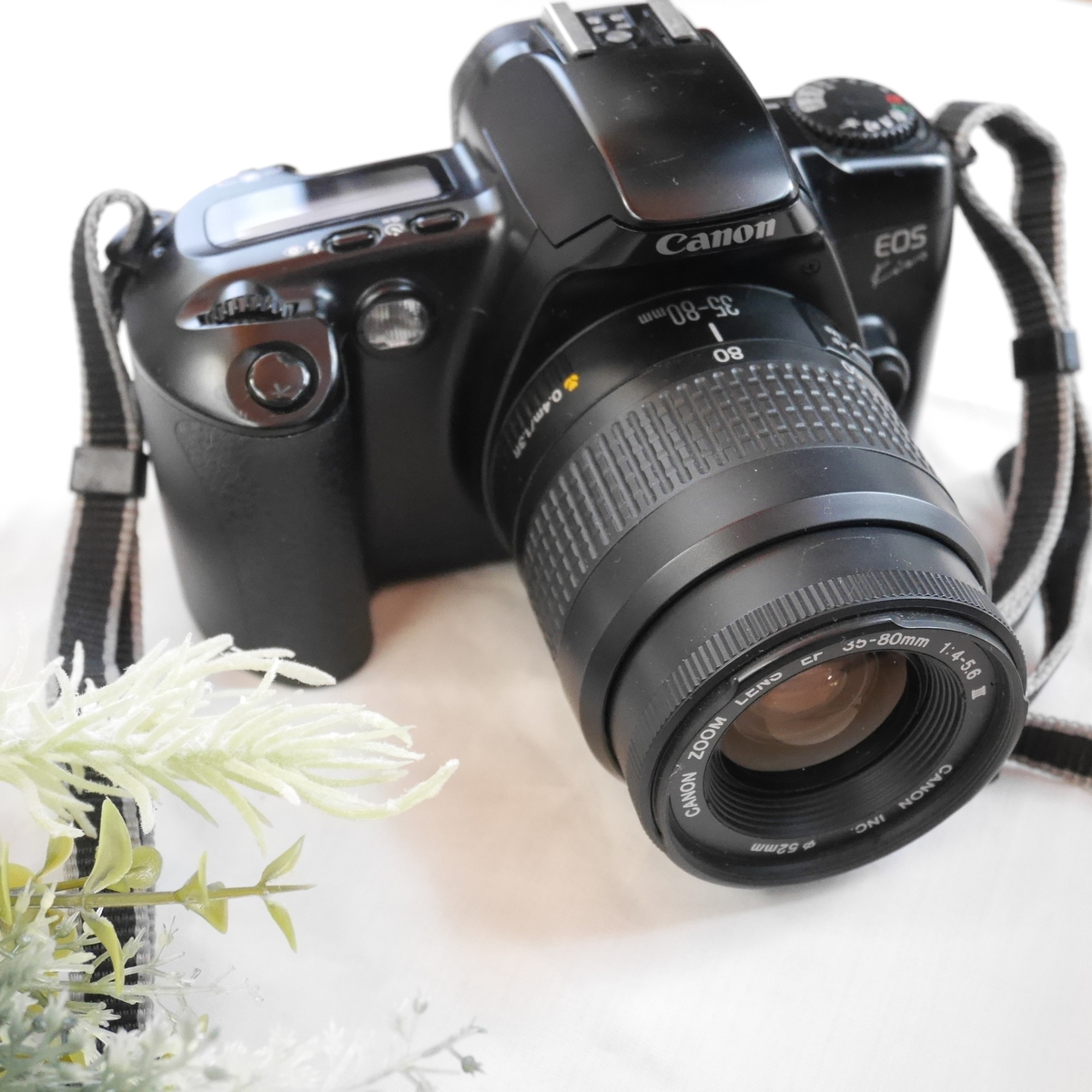 Canon EOS Kiss フィルム一眼レフカメラ 【公式通販】