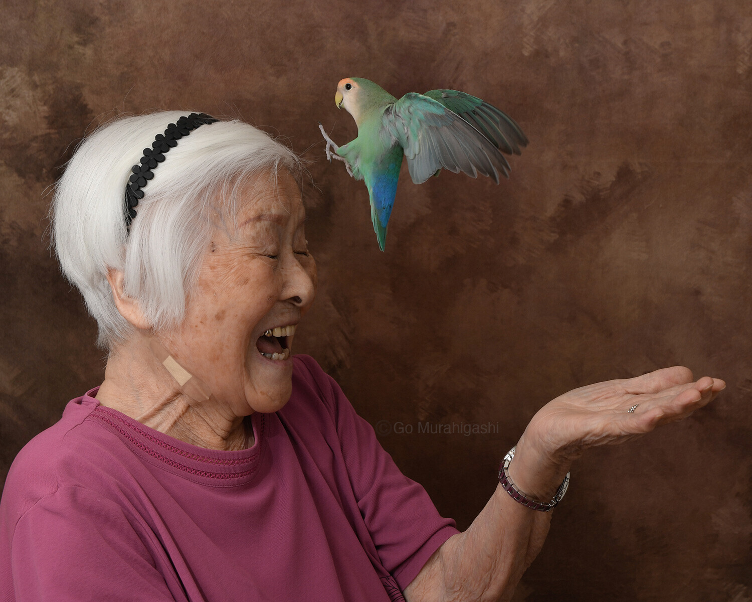 ピーちゃん（4歳）♂コザクラインコと大事なご家族」おと写真館の