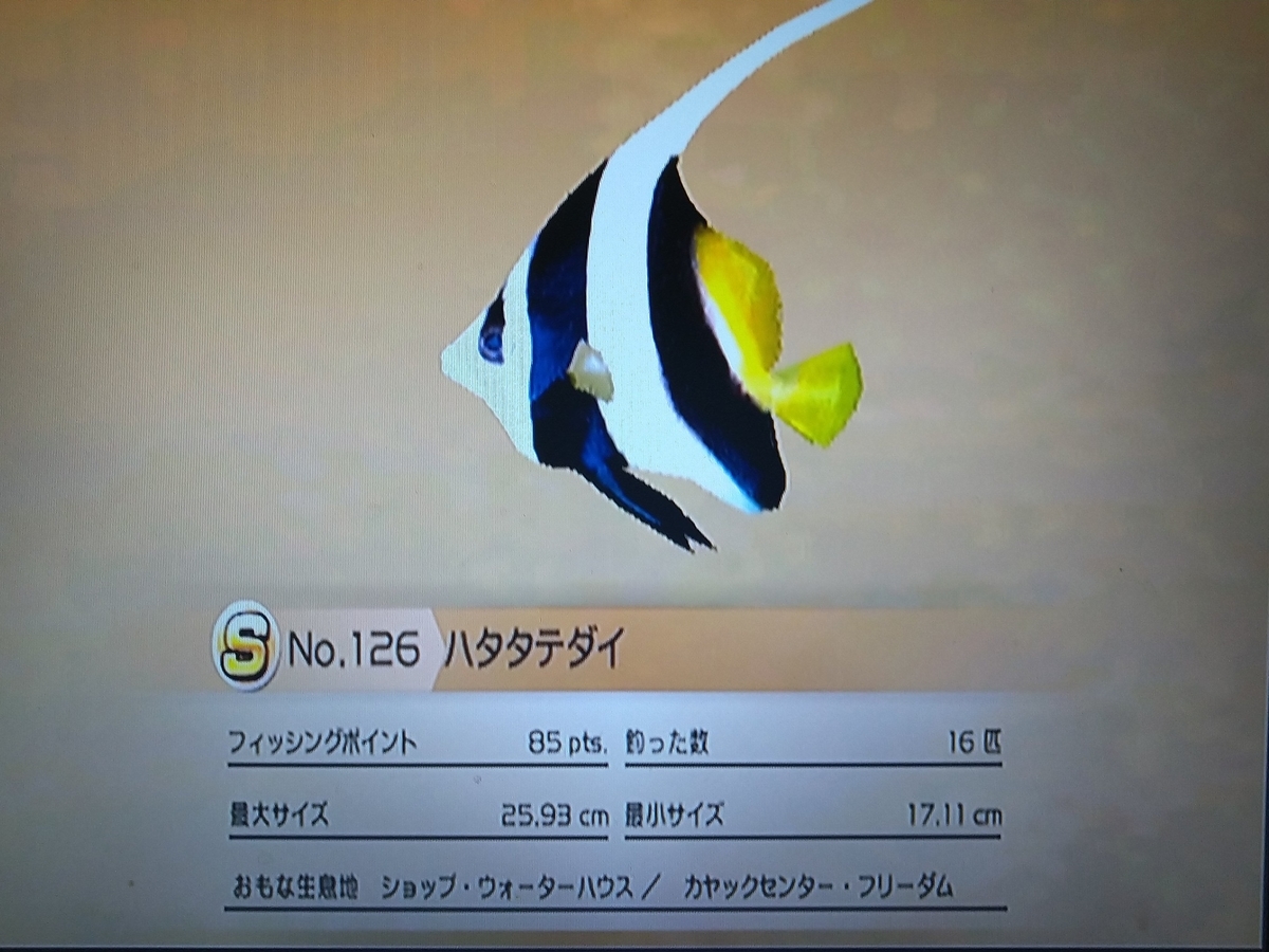 トゥマン・パラダイスビーチ【ファミリーフィッシング めざせSランク