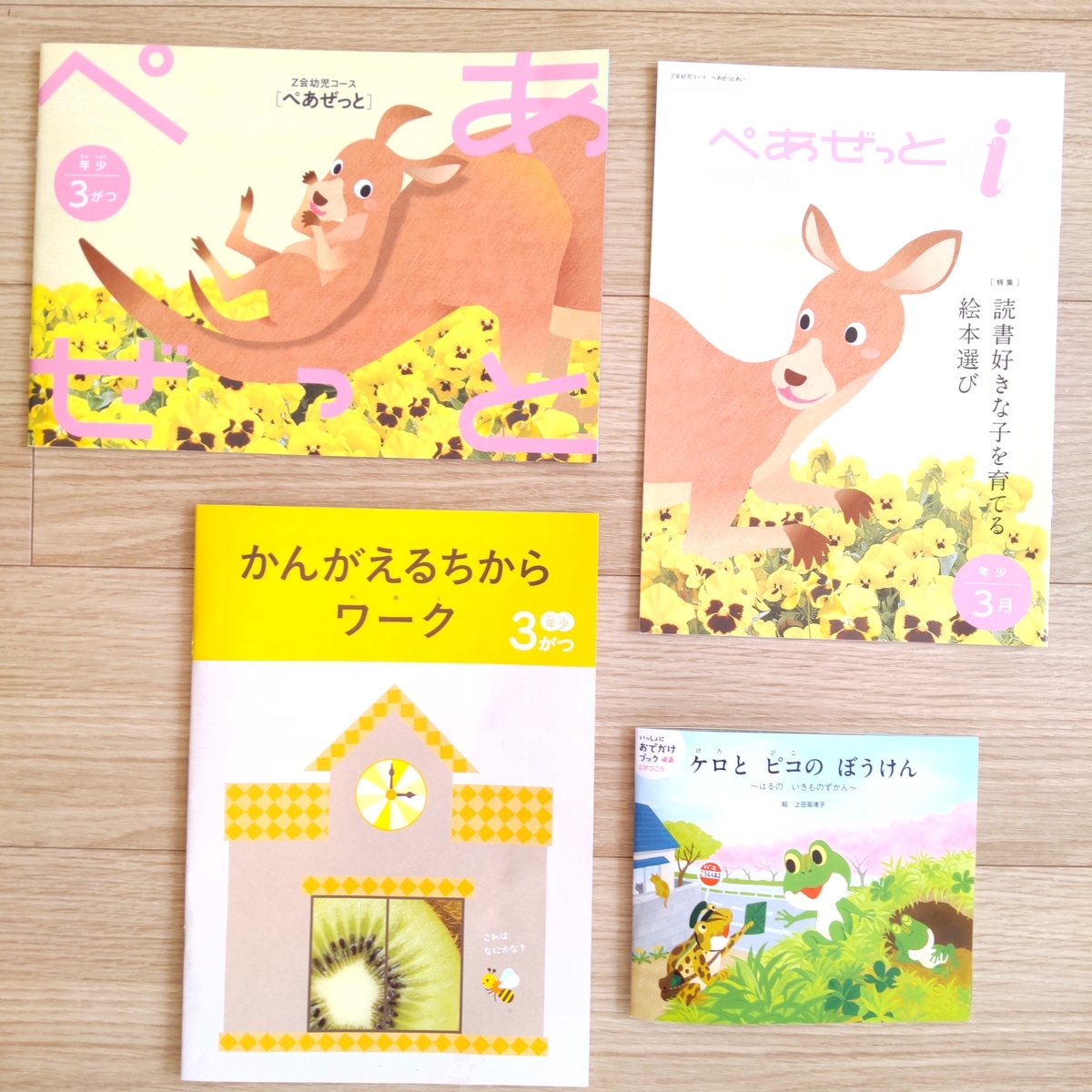 なーさん】【Z会年中コース】ワーク/ぺあぜっと≪4～3月号≫ Z会 年長