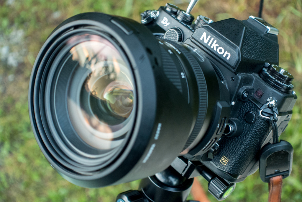 タムロン標準大三元！SP 24-70mm F2.8 G2を買ったのでNikon 純正G