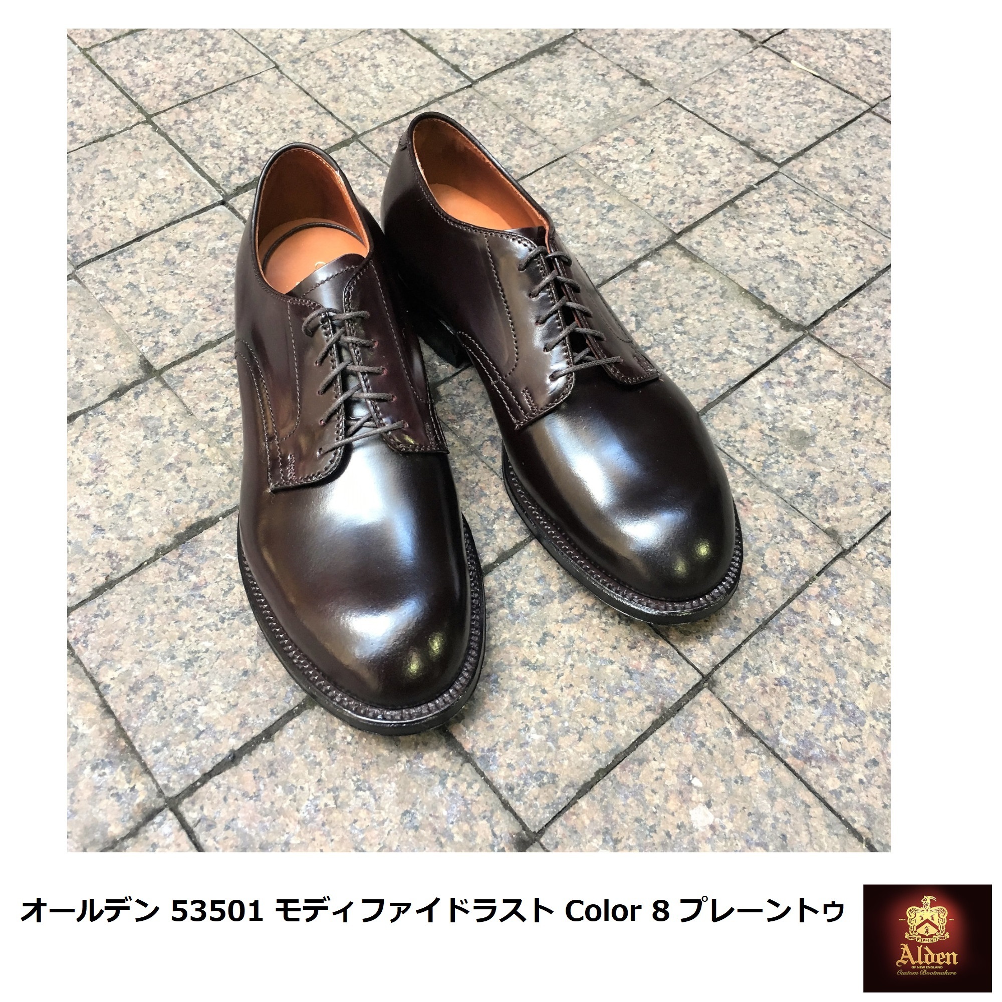 Alden] 53501 モディファイドラスト Color 8 プレーントゥ (ALDEN