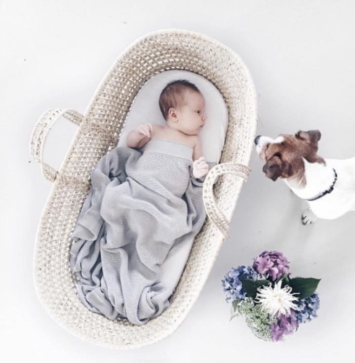 ☆Numero 74☆ ラタンクーファン バスケット マットレス付き