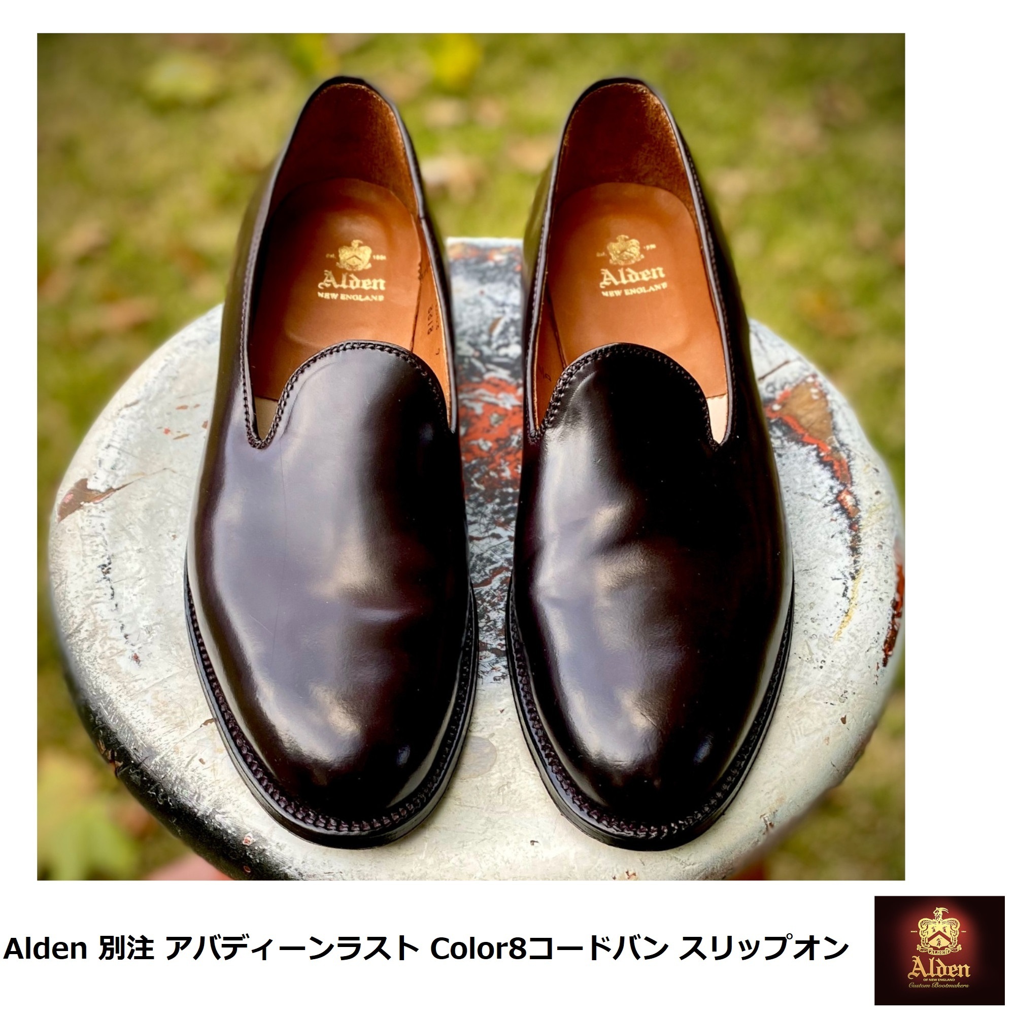 Alden] 別注 アバディーン Color 8 スリップオンローファー (ALDEN