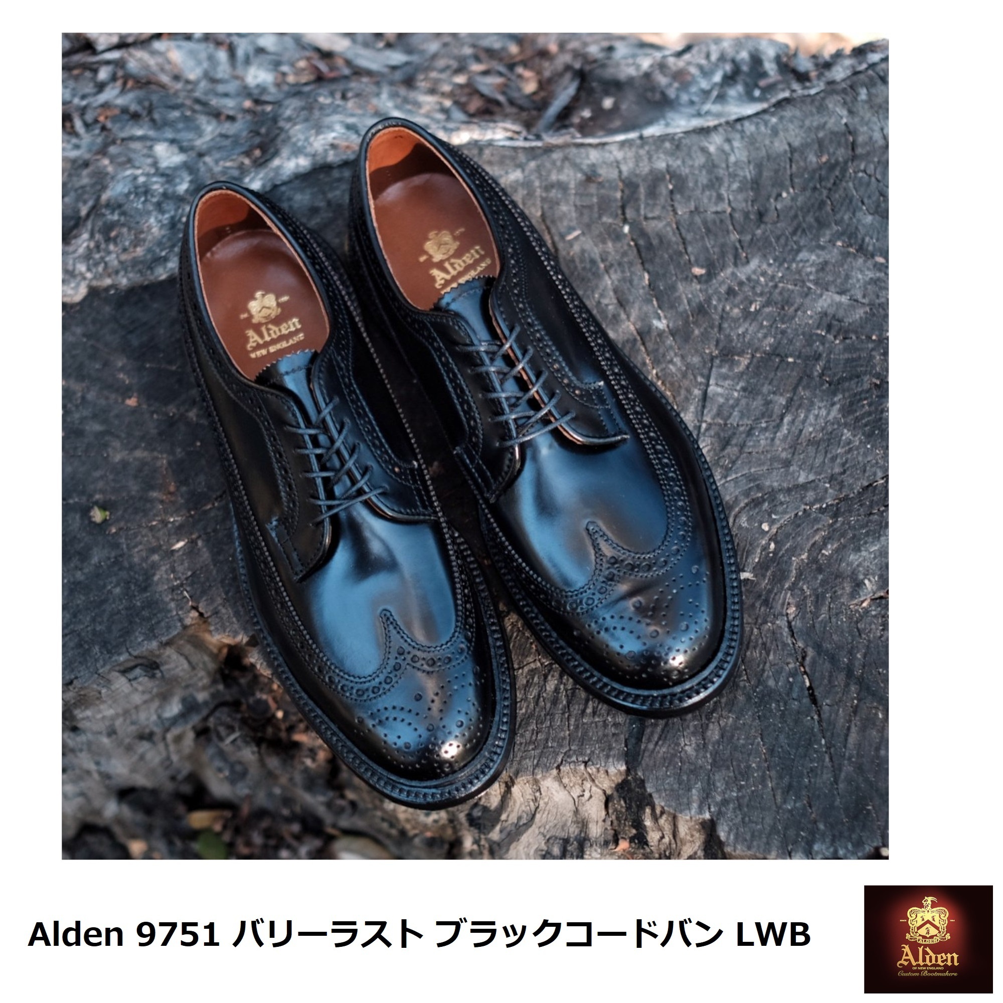 Alden] バリーラスト 9751 ブラックコードバン ロングウイング (ALDEN