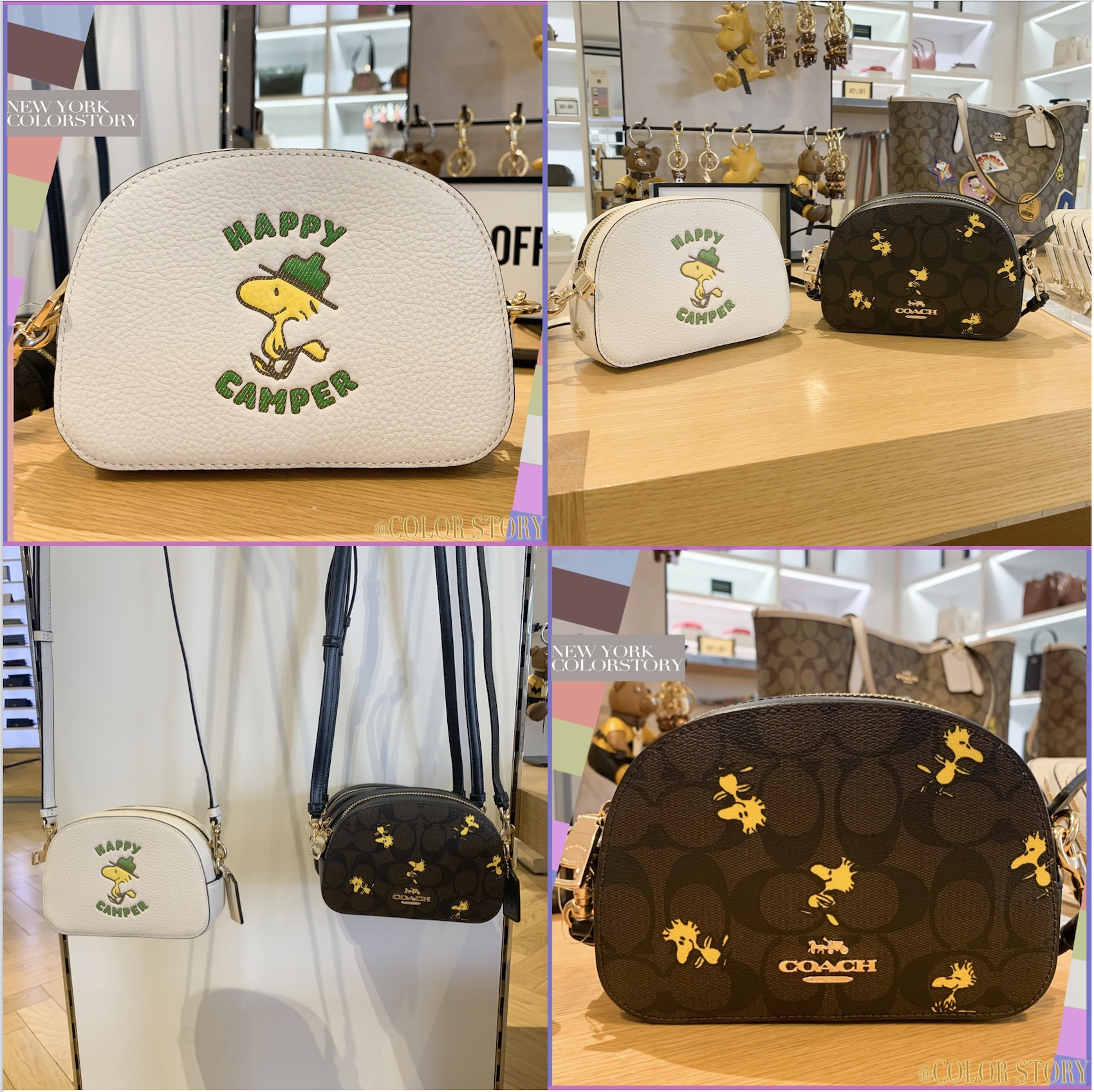 COACH x スヌーピー】○レア♪○PEANUTS セレナ クロスボディ (Coach