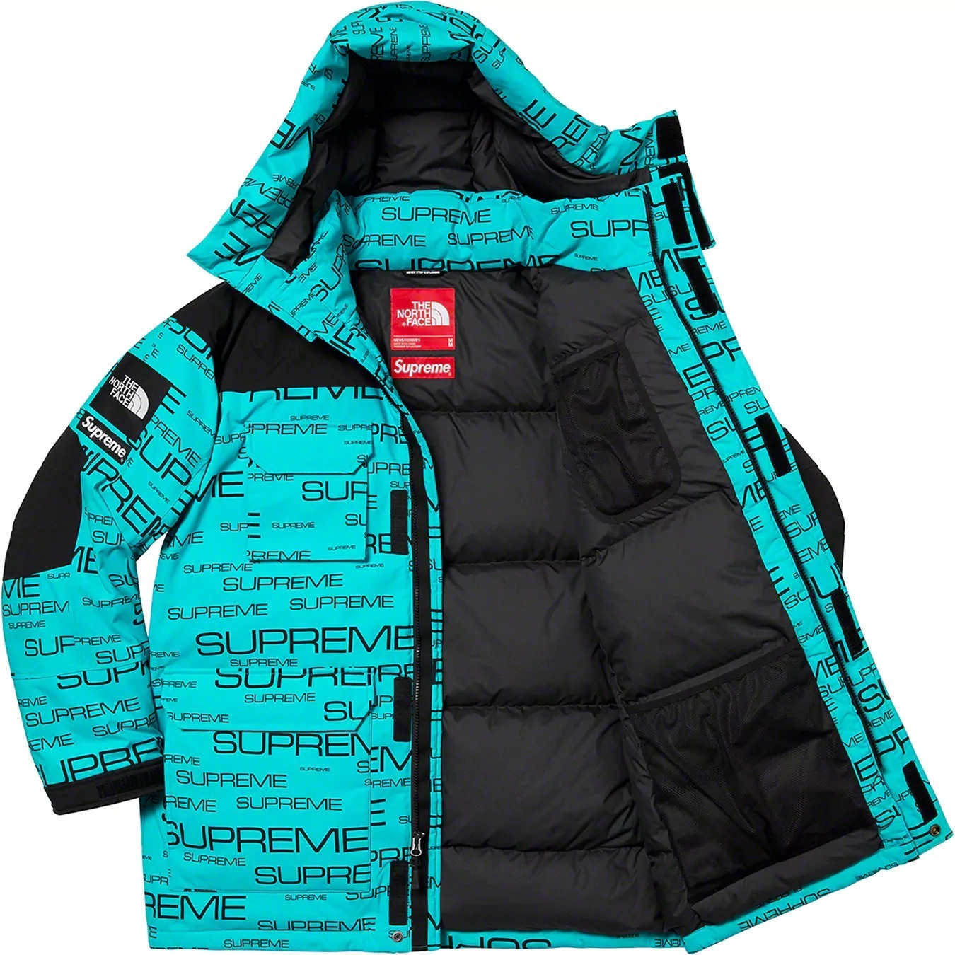 Supreme The North Face Coldworks 700-Fill Down Parka ダウン