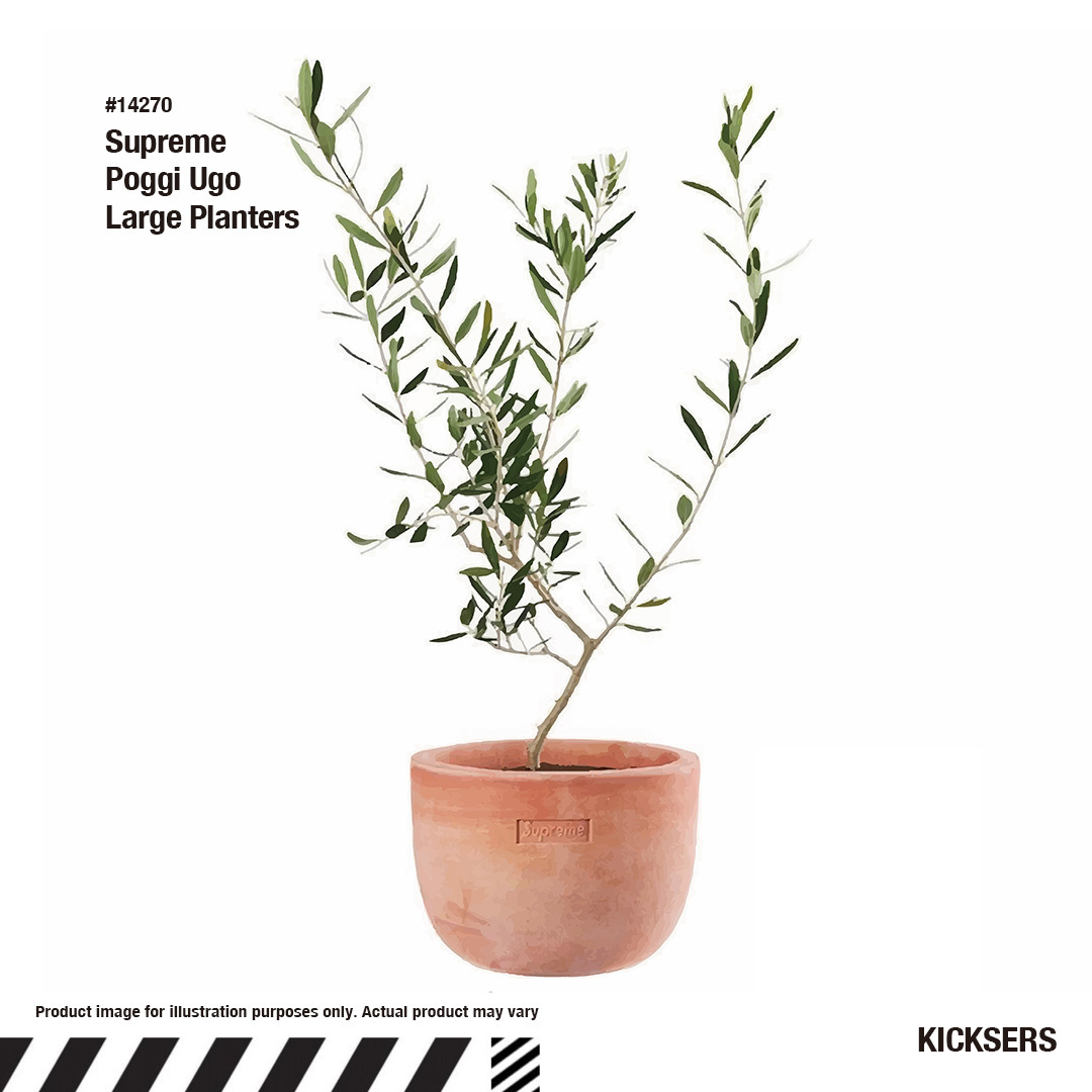 Supreme Poggi Ugo Large Planters シュプリーム 植物プランター