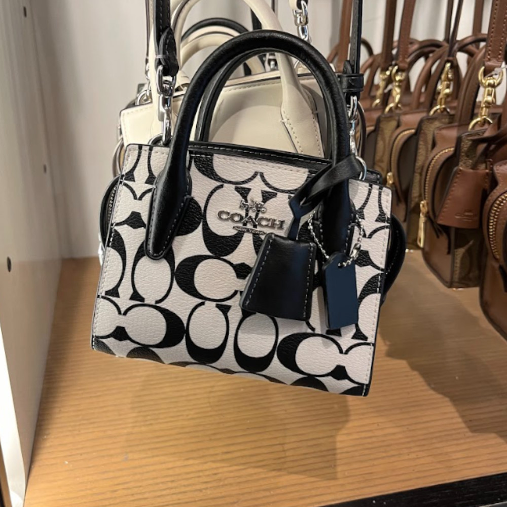 ミニサイズ【Coach】Andrea アンドレア ミニキャリーオール (Coach