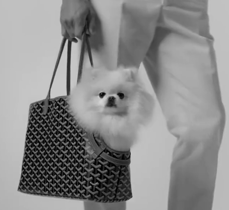GOYARD ゴヤール シアン・グリ バッグ 小型犬用'キャリーバッグ