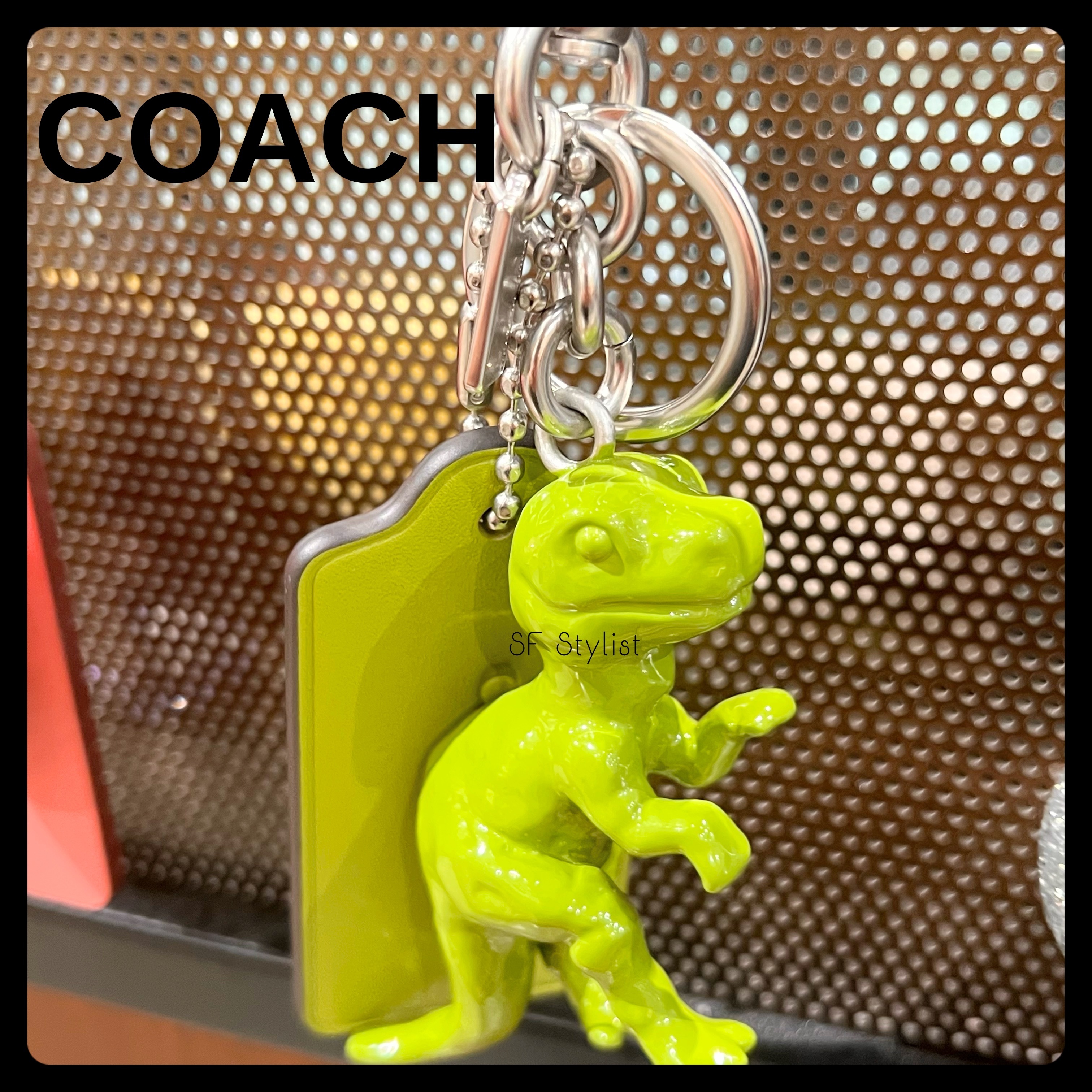 海外限定☆COACH 恐竜 レキシーバッグチャーム キーリング Rexy (Coach
