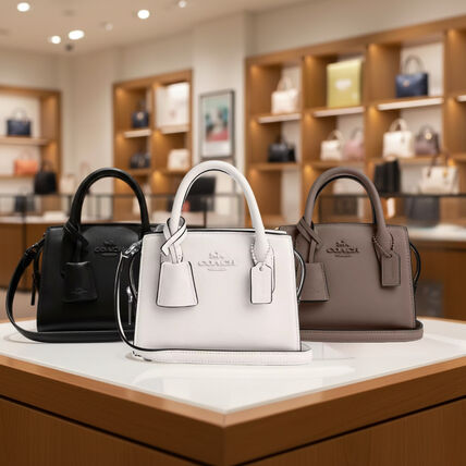 ブラウン（茶色）系 Coach(コーチ) ハンドバッグ(レディース