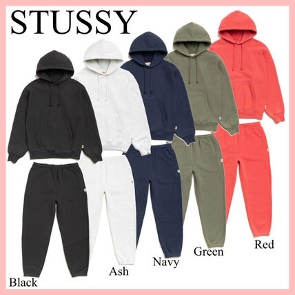 グレー（灰色）系 STUSSY(ステューシー) セットアップ(メンズ