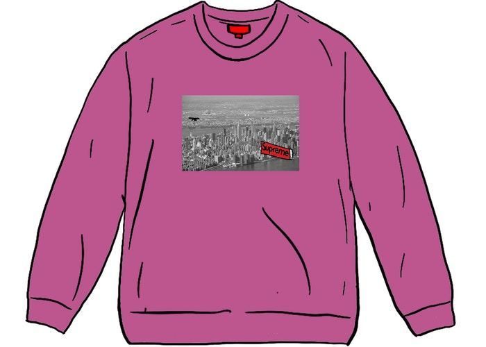 12 Week FW 20 Supreme Aerial Crewneck (Supreme/スウェット