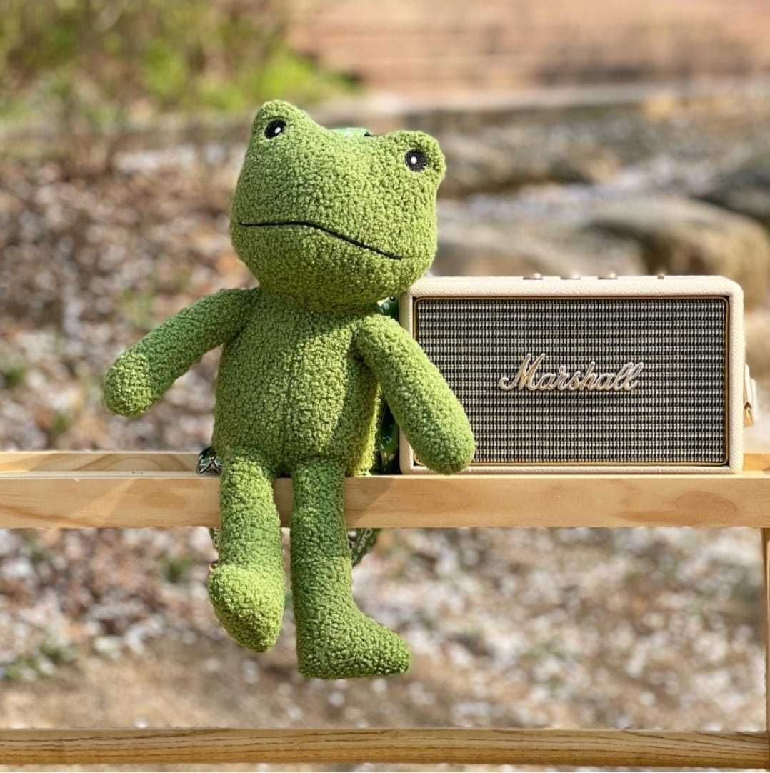 SEVENTEEN THE8着用☆韓国☆人気 カエル カバン/追跡あり (ショルダー