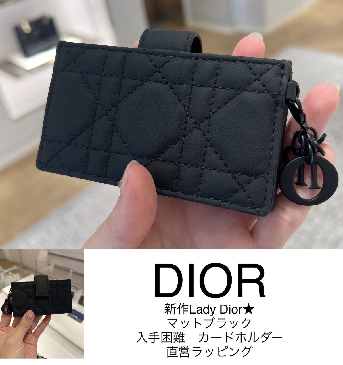 LADY DIOR☆入手困難 カードホルダー オールブラック直営店 (Dior