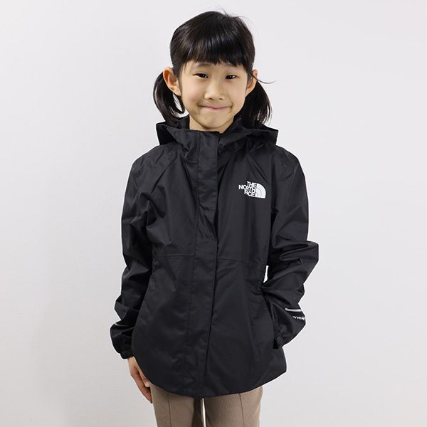 THE NORTH FACE ザノースフェイス マウンテンパーカー 国内発送 (THE
