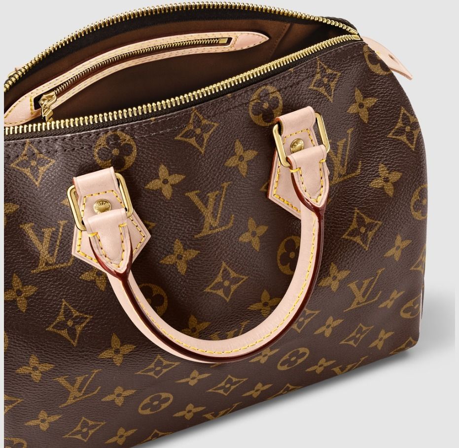 SALE】 LOUISVUITTON ルイヴィトン スピーディ25 (Louis Vuitton