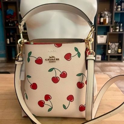 セールCoachモリー22ハートチェリープリント2wayバケットバッグ (Coach