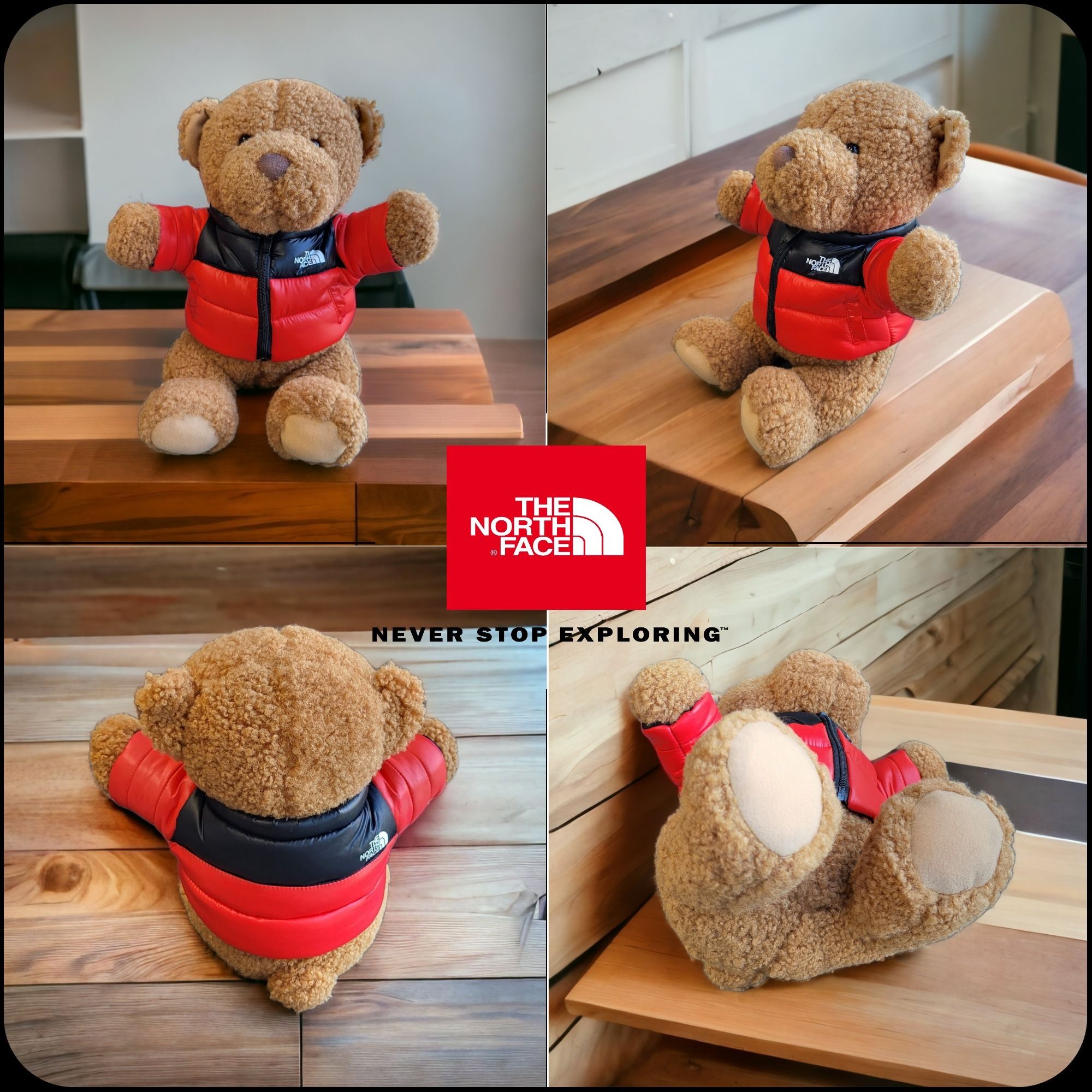 The Northface ]☆limited edition☆ TNF NUPTSE BEAR (THE NORTH FACE