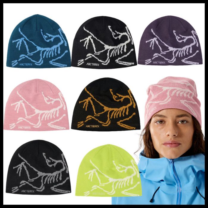 ARC'TERYX】ロゴ入りニット帽☆バードヘッドトゥーク (ARC'TERYX