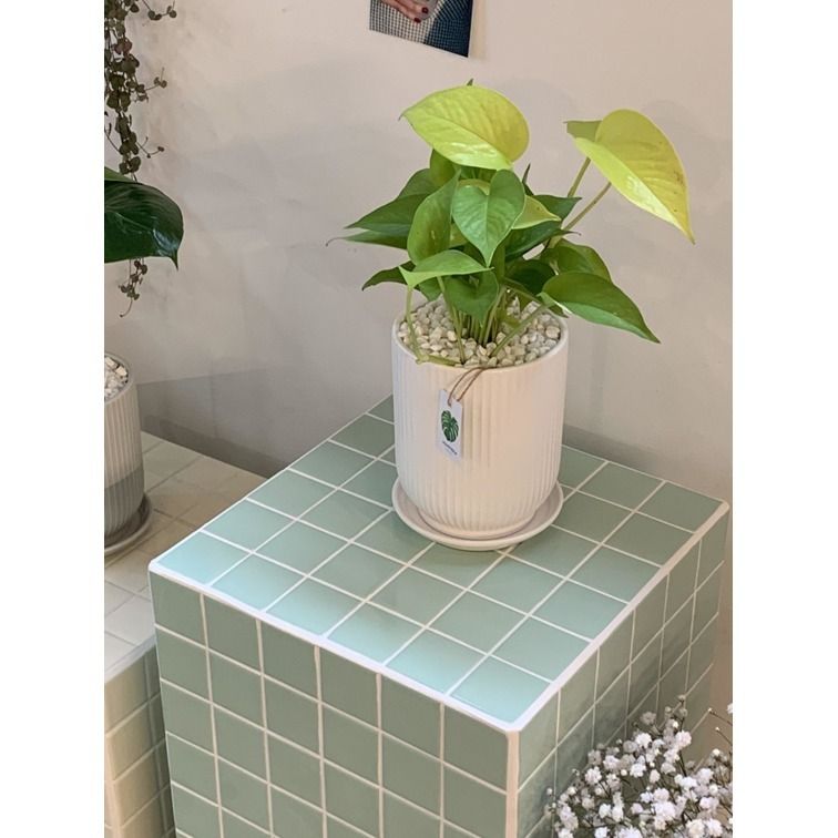 韓国インテリア 】タイルキューブ♪ サイドテーブル 8color (机