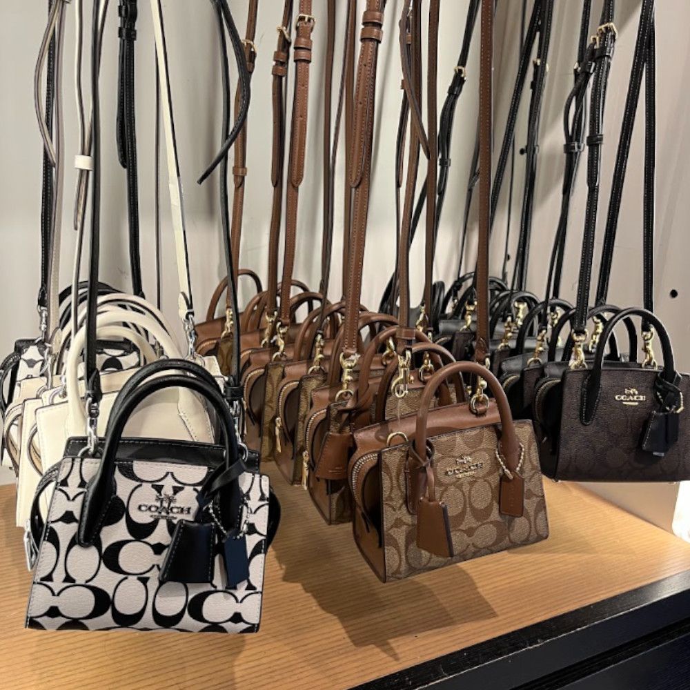 ミニサイズ【Coach】Andrea アンドレア ミニキャリーオール (Coach