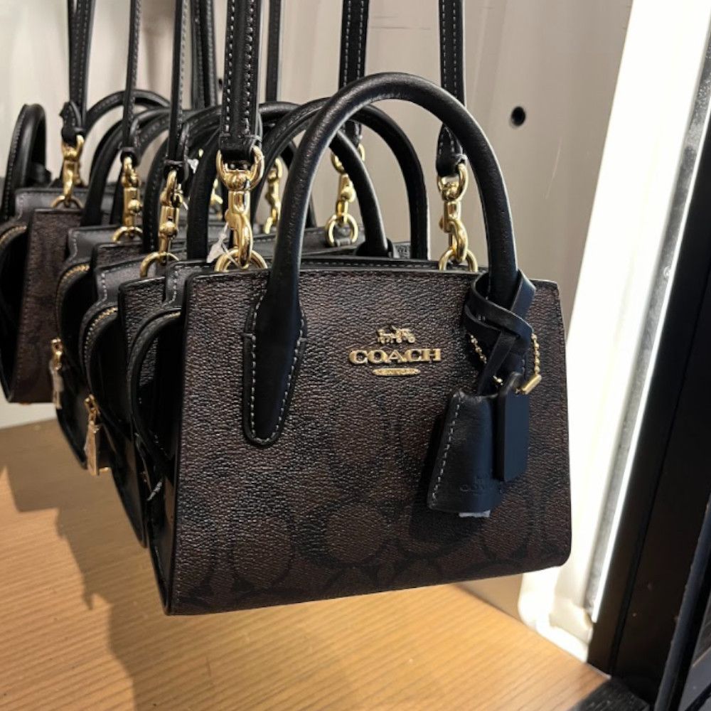 ミニサイズ【Coach】Andrea アンドレア ミニキャリーオール (Coach