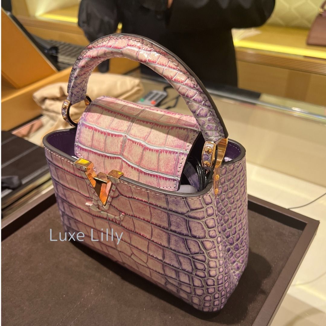 超貴重！【ルイヴィトン】カプシーヌ ミニ mini /アリゲーター (Louis